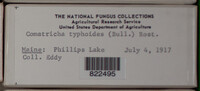 Image Associated With the Occurence